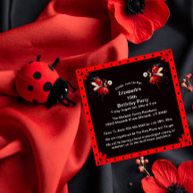 Cute Black/Red Ladybug Fairy Birthday Party