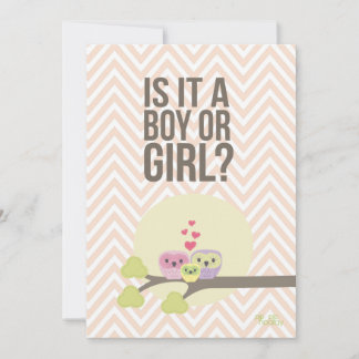 Convites Cute Owl Family Baby Gender (Sexo Do Bebê Da Famíl