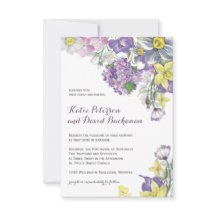 Daffodil pintado mão do narciso da cor de água