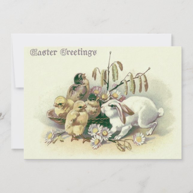 Convites Daisy do Pintinho Cony da Páscoa (Frente)