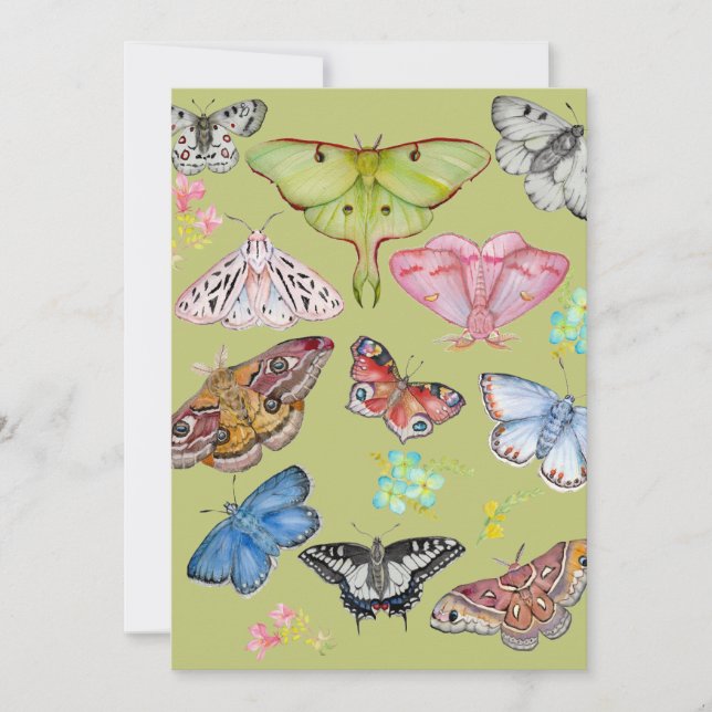Convites Dança de Borboleta com Aquarela Suave (Frente)
