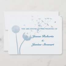 Dandelion quer se casar com chá suave