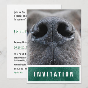 Convites Dane Grande Nariz para cima