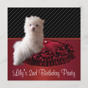 Convites de Aniversário de Cachorrinho Branco Fofo