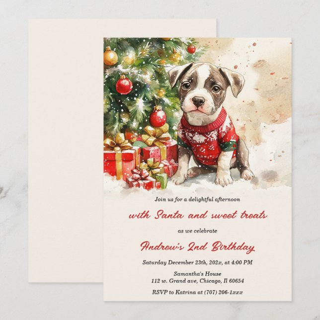 Convites de Aniversário de Natal Personalizados (Frente/Verso)