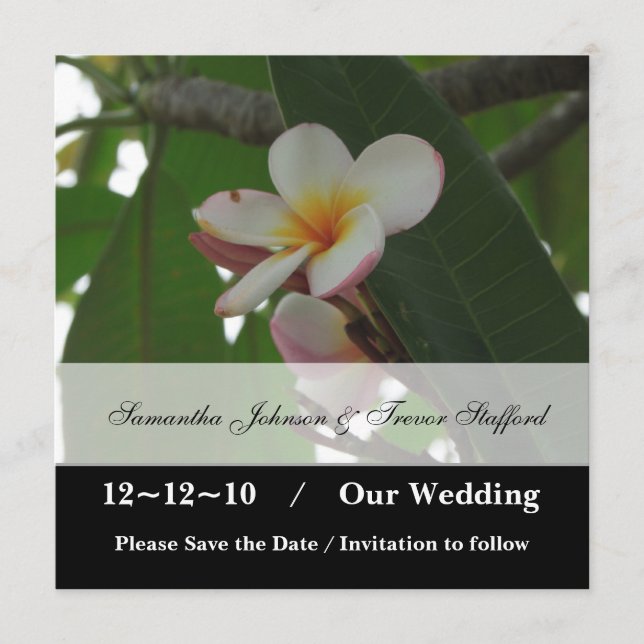 Convites de casamento de frangipani para salvar a  (Frente)