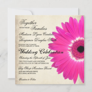 Convites de Casamento Russo de Gerber Daisy Rosa Q