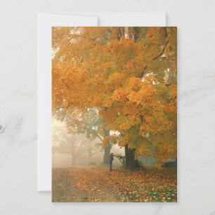 Convites de Correio da Manhã