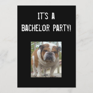 Convites de Despedida de Solteiro de Bulldog Inglê