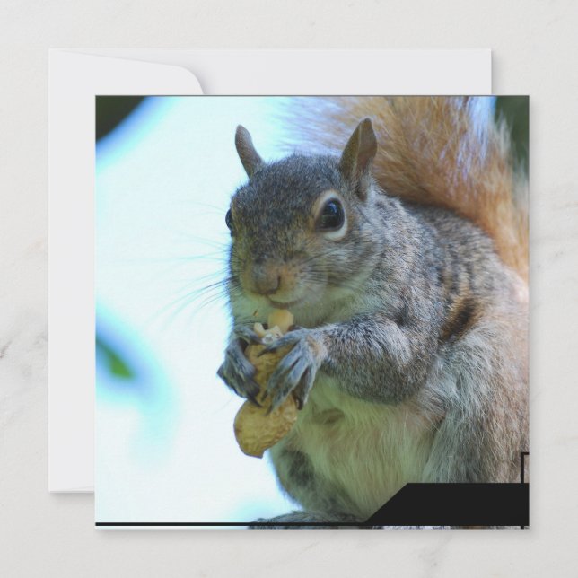 Convites de Esquilo (Frente)