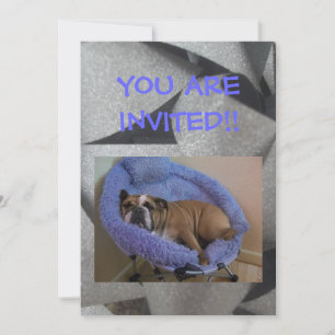 Convites de festa do English Bulldog