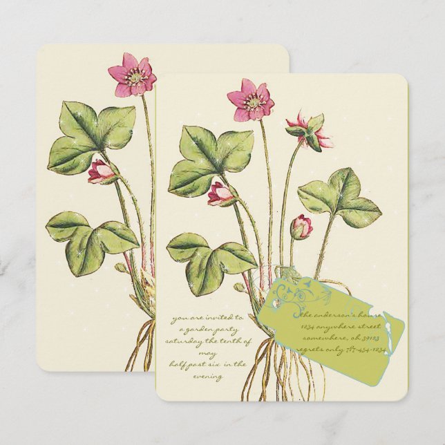 Convites de Jantar Botânicos Flor Silvestre Rosa (Frente/Verso)