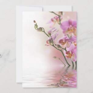 Convites de orquídeas de reflexão de água
