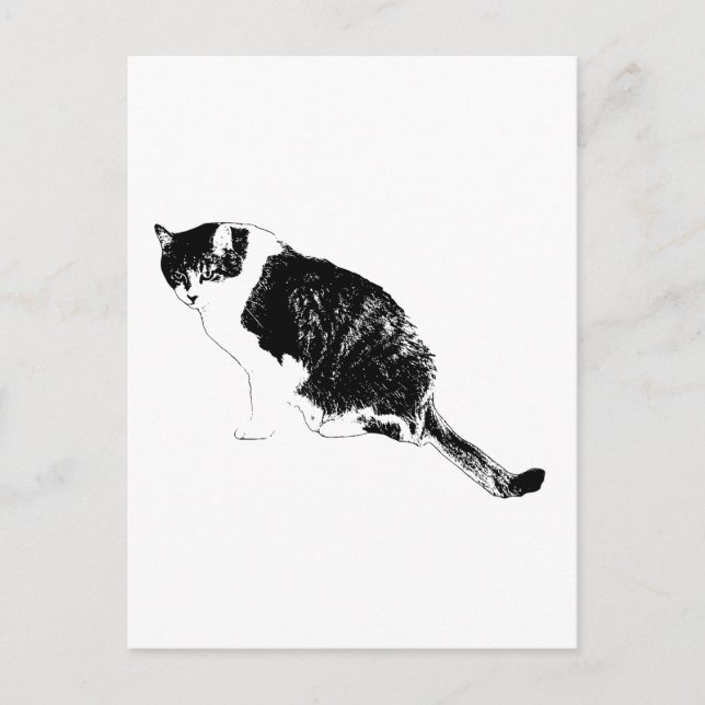 Convites de Vetor de Gato Preto com Notas Sazonais (Frente)
