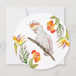 Convites Desenho em aquarela de um papagaio-católico
