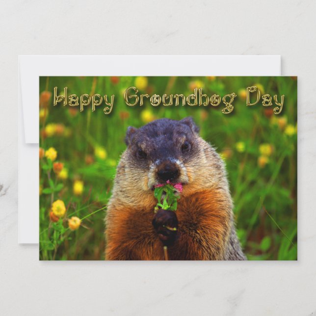 Convites Dia de Groundhog feliz que come a flor (Frente)