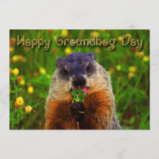 Convites Dia de Groundhog feliz que come a flor