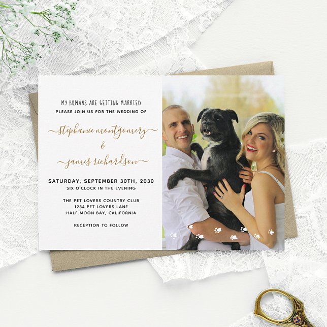 Convites Diversão Meus Humanos Casando Foto de Casamento de (Criador carregado)
