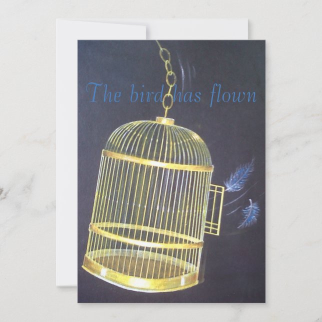 Convites Divorciar Partido Divertido personalizado (Frente)