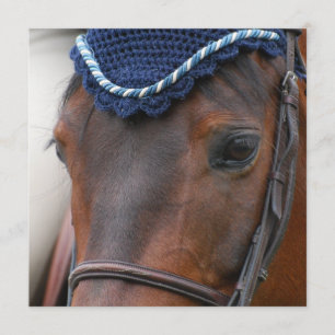 Convites do perfil do cavalo