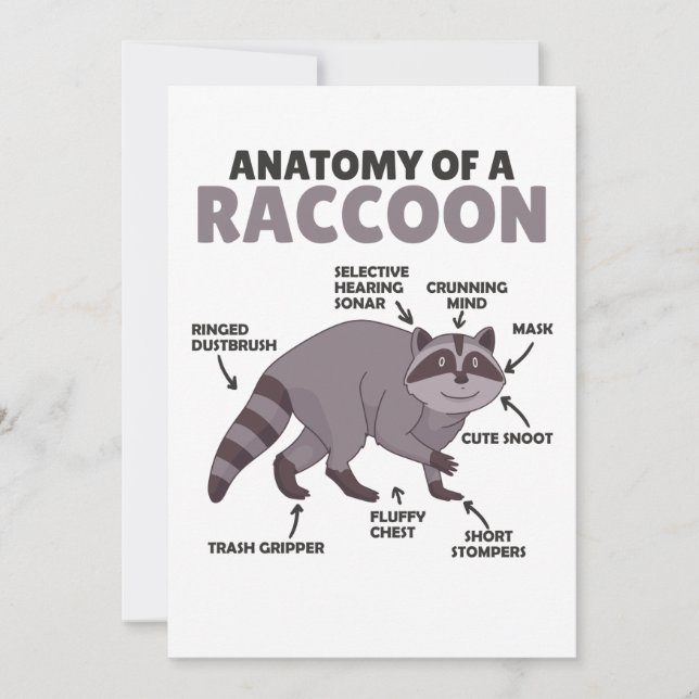 Convites Doce Raccoon Explicação Anatomia De Um Raccoon (Frente)
