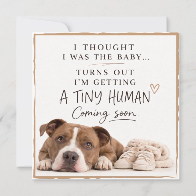Convites Dog Pregnancy Announcement Card (Frente)