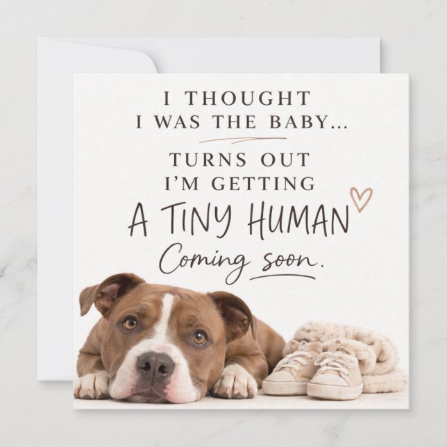 Convites Dog Pregnancy Announcement Card (Frente)