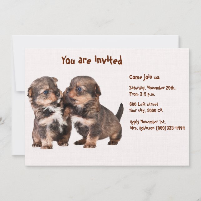 Convites Dois filhotes de cachorro graciosos de Yorkshire (Frente)