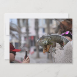 Convites Dragão barbudo na frente marítima Paphos cartão-po