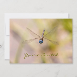 Convites Dragonfly na foto de voo