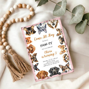 Convites É Hora de Festa com Patinhas Animais de Festa Aniv