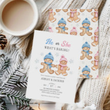 Ele ou ela O que é a Revelação do Gênero do Ginger