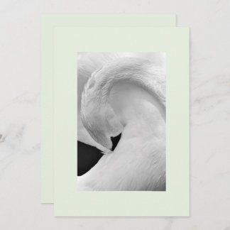Convites elegantes para cisne 5x7 para casamento e