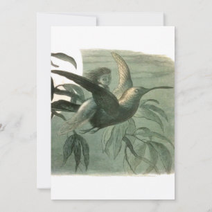 Convites Elf Fairies Elves Moon Night Bird Voando