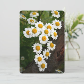 Convites Engagement Bridal shower Invitations