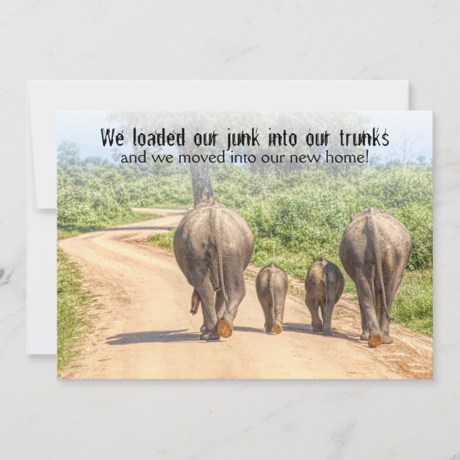 Convites Engraçado Agitação de Casa Aberta Elefantes Movime (Frente)