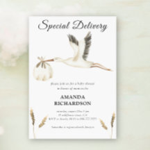Entrega Especial Stork Aguarela Chuveiro de Bebê