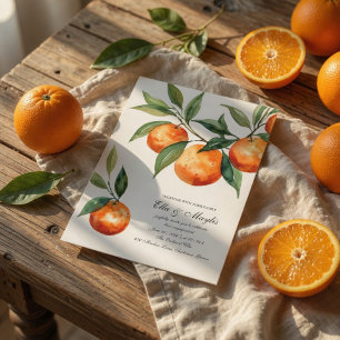 Convites Envolvimento Cítrico Laranja Mediterrânea