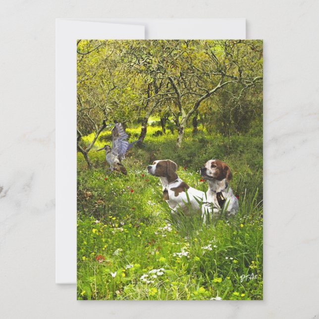 Convites Epagneul Breton, Bretanha Spaniel (Frente)