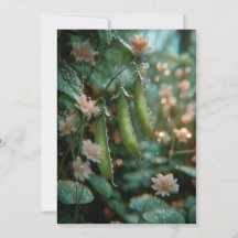 Ervilha no Vagem | Brotos Doces