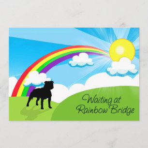 Convites Espera na ponte Pitbulls do arco-íris