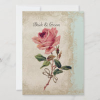 Estilo Barroco Vintage Rosa Aqua em Cream Lace