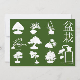 Convites Estilos Básicos da Árvore Bonsai 10