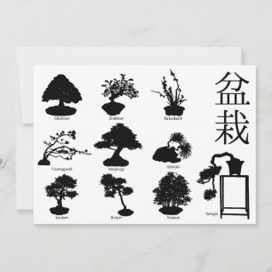 Convites Estilos Básicos da Árvore Bonsai 10