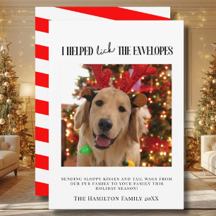 Convites Eu Ajudou a Lamer os Envelopes Foto de Cachorro Na