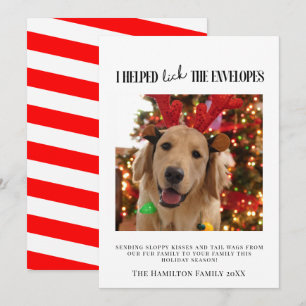 Convites Eu Ajudou a Lamer os Envelopes Foto de Cachorro Na