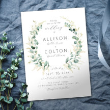 Eucalipto russo sage boho verde