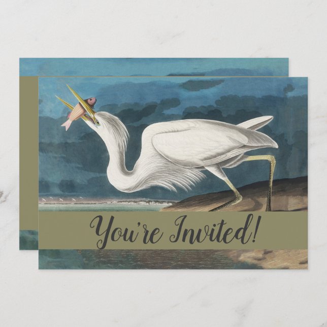 Convites Excelente White Heron Audubon Bird Willife Paintin (Frente/Verso)