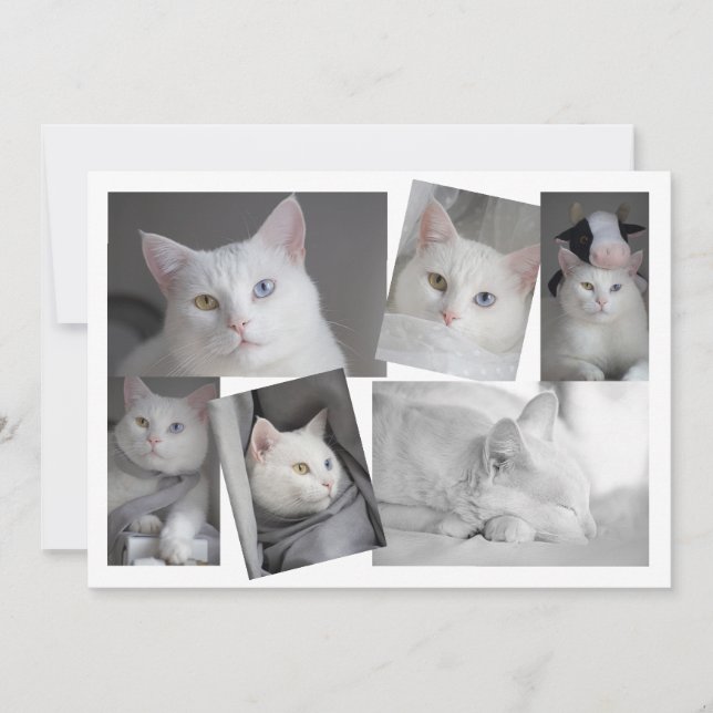 Convites Faça sua própria placa personalizada de colagem de (Frente)