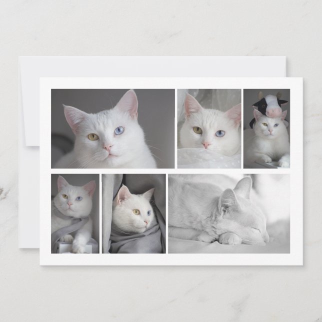 Convites Faça sua própria placa personalizada de colagem de (Frente)